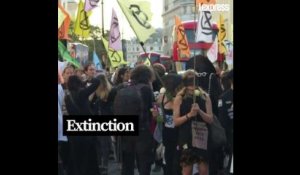 Des militants écologistes marquent la fin de la Fashion Week de Londres avec une marche funèbre