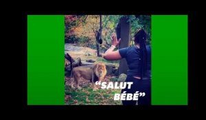 Elle entre dans l&#39;enclos des lions au zoo du Bronx &quot;pour les voir de plus près&quot;