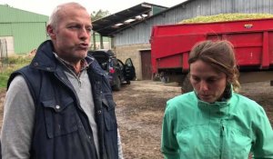 Un agriculteur d'Helfaut retrouve deux de ses vaches pendues sur une pâture à Saint-Omer