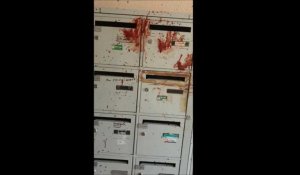 Des habitants de Sciez découvrent leur hall d'immeuble maculé de sang