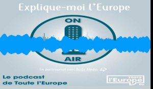 Podcast "Explique-moi l'Europe": Les forces politiques au Parlement européen