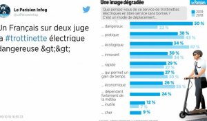 Trottinettes électriques. 50 % des Français les jugent dangereuses, selon un sondage