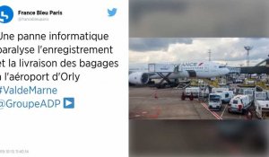 Aéroport d'Orly : une panne technique perturbe l'enregistrement des bagages, des vols retardés
