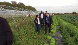  Lubrizol : les maraîchers attendent la levée de l'arrêté interdisant la commercialisation de leurs légumes