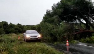 Intempéries : un arbre écroulé sur les voies de la RD168