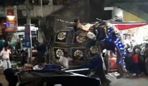 Sri Lanka:deux éléphants piétinent la foule, au moins 17 blessés