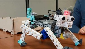 A Arras, une école pour apprendre à programmer des robots 