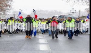 Minute Papillon! Info soir -  20 septembre 2019