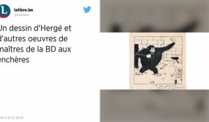 Un dessin d'Hergé et d'autres œuvres de maîtres de la BD aux enchères