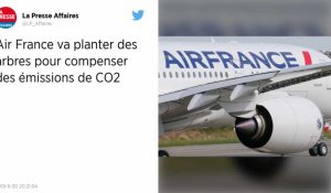 Air France prévoit de compenser 100 % des émissions de CO2 de ses vols intérieurs à partir de 2020