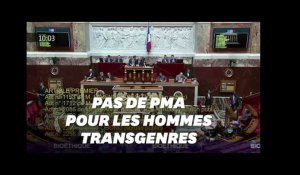 L&#39;accès à la PMA aux hommes transgenres rejeté à l&#39;Assemblée