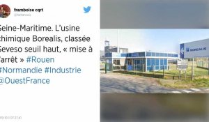 Seine-Maritime : L'usine chimique Borealis, classée Seveso seuil haut, « mise à l'arrêt »