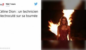 Maladie, grave accident... Les catastrophes s'enchaînent sur la tournée de Céline Dion