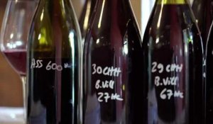 Le vin français taxé à 25% aux Etats-Unis : Les viticulteurs voient rouge