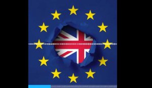 Minute Papillon! L'accord sur le Brexit, et maintenant? 18 octobre 2019