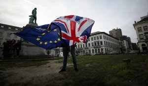 Brexit : le "no deal" serait-il viable ?
