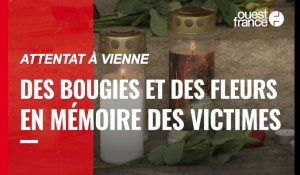 Attentat à Vienne. Des bougies et des fleurs en mémoire des victimes