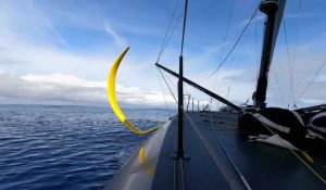 Vendée Globe. La journée calme d'Armel Tripon