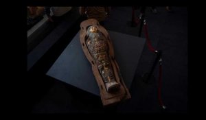 Egypte : le trésor archéologique de Saqqarah se dévoile, 100 sarcophages découverts