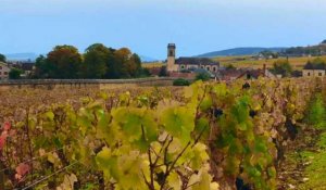 Les viticulteurs français débordent de colère après un an de taxes Trump
