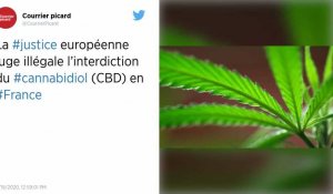 Cannabis : la justice européenne ouvre la voie au CBD en France