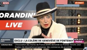 Morandini Live : Geneviève de Fontenay règle ses comptes avec Sylvie Tellier, "c'est une menteuse" (vidéo)