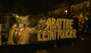 Des milliers de manifestants à Nantes contre la loi "Sécurité globale"
