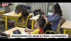 Enseigner l'arabe à l'école dès le primaire : la proposition du gouvernement qui divise (Vidéo)