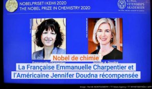 Le prix Nobel de chimie à la Française Emmanuelle Charpentier et l’Américaine Jennifer Doudna