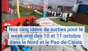 Les cinq sorties du week-end des 10 et 11 octobre dans le Nord-Pas-de-Calais