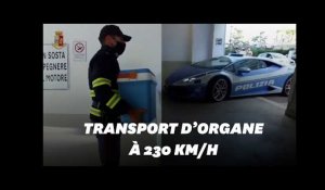 La police Italienne livre un rein à 230 km/h en Lamborghini