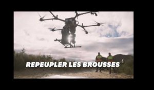 WWF Australie replante les brousses avec des drones après les feux dévastateurs