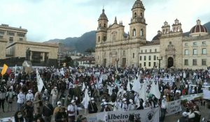 Les membres des FARC se réunissent à Bogota pour demander la protection de Duque