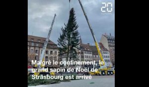 Strasbourg: Le traditionnel sapin de Noël installé, malgré le confinement