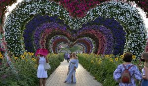 Dubaï : ♫ C'est un jardin extraordinaire ♫