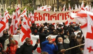 Géorgie : des centaines de manifestants se rassemblent devant le Parlement pour demander des élections anticipées