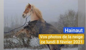 Vos photos d'un lundi 8 février sous la neige, dans le Hainaut