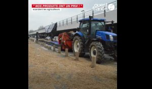 VIDÉO Action coup de poing des agriculteurs au Carrefour d’Angers sur fond de « guerre des prix »