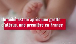 VIDEO. Un bébé est né après une greffe d’utérus, une première en France
