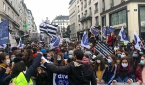 VIDÉO. Brest : plus de 1 500 personnes manifestent en faveur de l'enseignement du breton à l'école