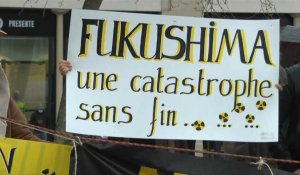 Dix ans après Fukushima, manifestation à Paris contre le nucléaire
