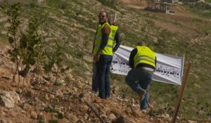 Environnement: pays désertique, la Jordanie veut planter des forêts