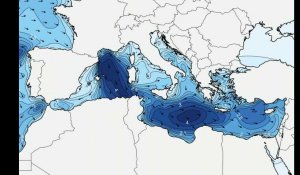 Surf. La hauteur des vagues en Méditerranée, de Perpignan à Fréjus