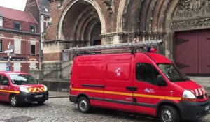 Deux faucons pèlerins bloqués en haut de l’église Saint-Vaast à Bethune.