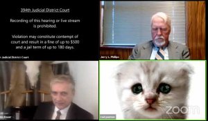 "Je ne suis pas un chat": un avocat coincé avec un filtre pendant une audience