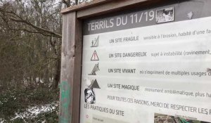 Travaux de préservation des terrils du 11/19 à Loos-en-Gohelle