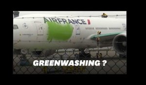 Greenpeace repeint un avion en vert contre le "greenwashing"