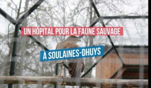 Centre de soins pour la faune sauvage Soulaines-Dhuys