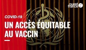 VIDÉO. L'OMS donne son homologation d'urgence au vaccin anti-Covid d'AstraZeneca
