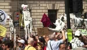 GB: une députée s'adresse à des manifestants pour le climat